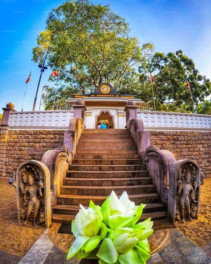 Jaya Sri maha Bodiya