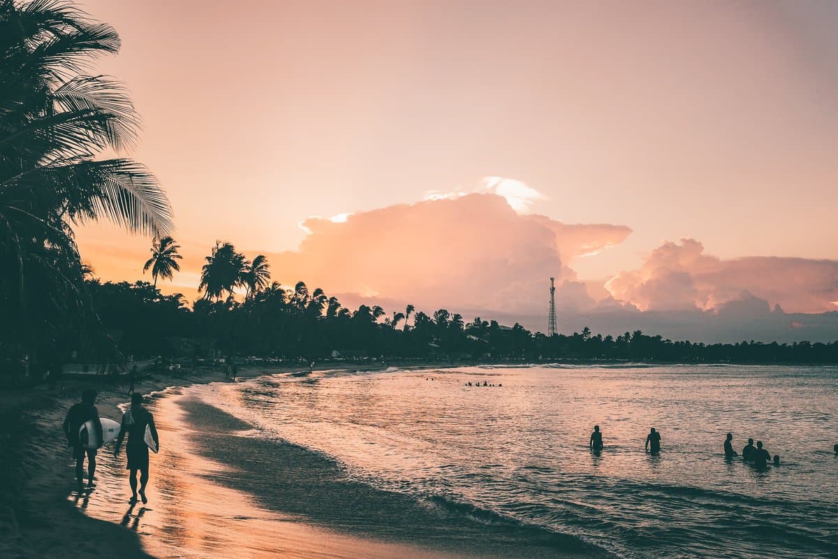 Beach landscape